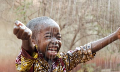 100+ Rain Quotes to Lift Your Spirits