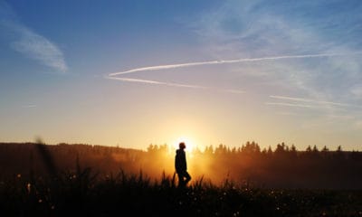 Aha Moments and Their Incredible Insights