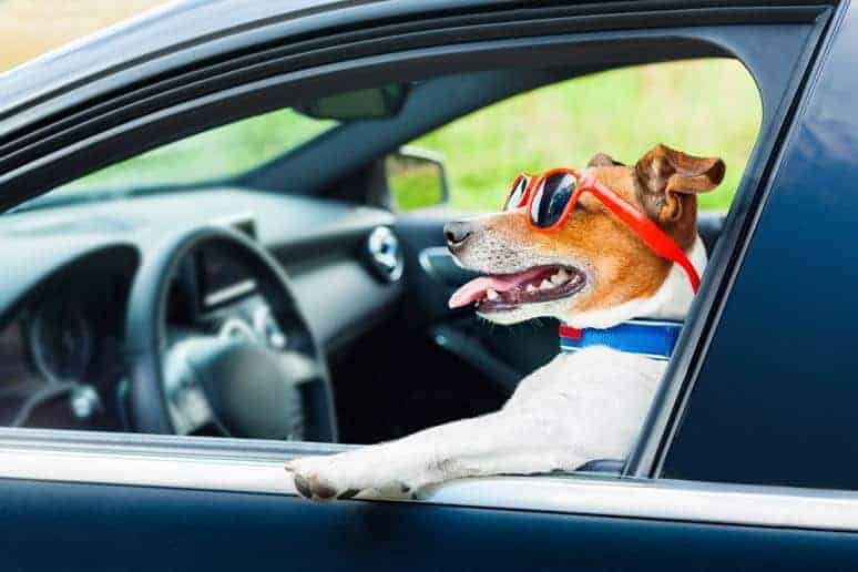 5 Ways To Change Your Mood Into A Positive One While Driving Home