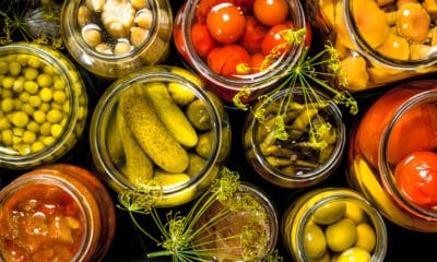 Dill-ightful Celebrations: National Pickle Day Flavorful Festivities