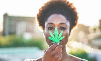 The Incredible History of 420 Stoner Celebrations